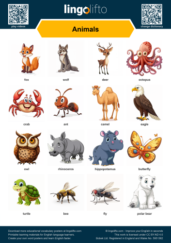 Animals Poster