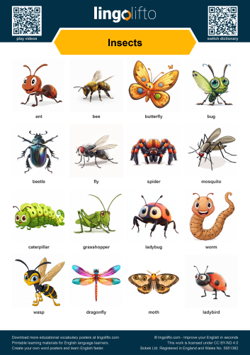 Insects Poster