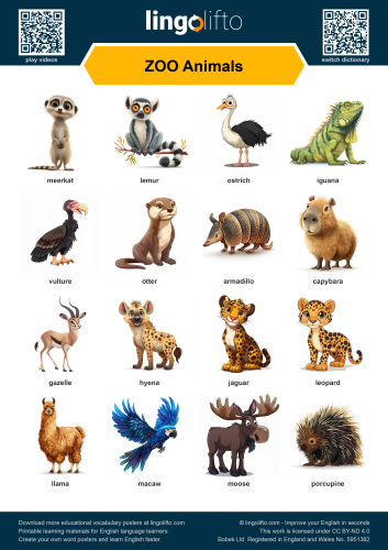 ZOO Animals Poster